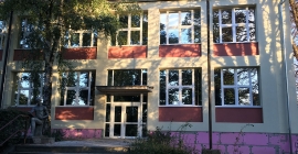 RÓZSASZÍN 2.JPG