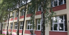 RÓZSASZÍN 1.JPG