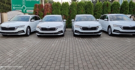 SKODA OCTAVIA, flotta