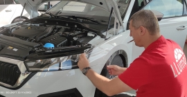 Octavia flotta (11).jpg