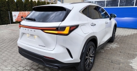LEXUS NX 450h+ (26).jpg