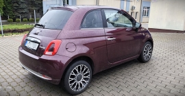 FIAT 500 (1).jpg
