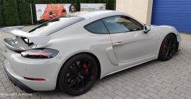 PORSCHE GT4 (17).jpg